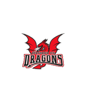 Ice Hockey Sticker by Herforder EV