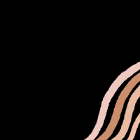 Sabsfolio illustration design lines boho GIF