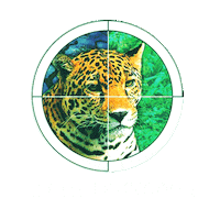 Nex Sticker by GARRA