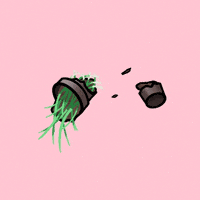 frismstudio cat frism GIF