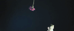 maren morris the middle lyric GIF by Interscope Records
