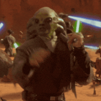 Star Wars Fighting GIF by the innernette