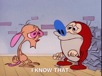 ren and stimpy nicksplat GIF
