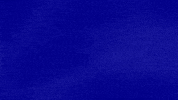 Ampedup GIF by Jeopardy!