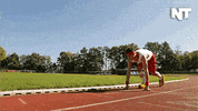 germany india GIF by NowThis 