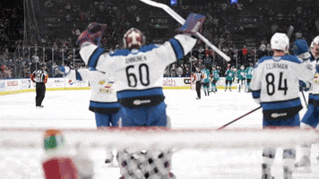 Hockey Hug GIF by Colorado Eagles