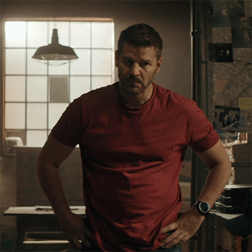 Sealteam Davidboreanaz GIF by Paramount+