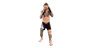 Mma Kickboxing Sticker by Brannmanndan