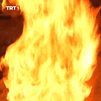 Fire Love GIF by TRT