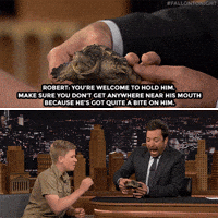 biting jimmy fallon GIF by The Tonight Show Starring Jimmy Fallon