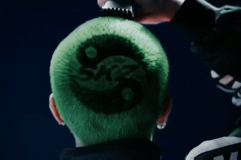 Stray Kids Skz GIF