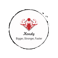 Koudy666_CZ coach personaltrainer stronger faster Sticker