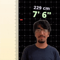 7' 6"