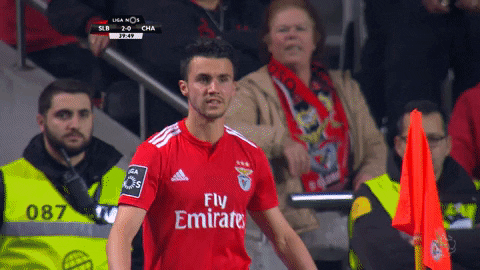 confused sl benfica GIF by Sport Lisboa e Benfica