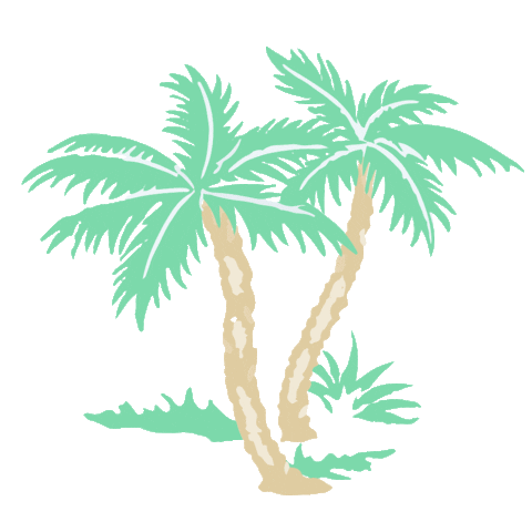 Palm Tree Beach Sticker by The Beaufort Bonnet Company