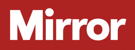 Logo Wordmark GIF by Daily Mirror