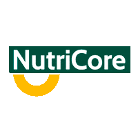 pearsonsaudeanimal cat dog pet move Sticker