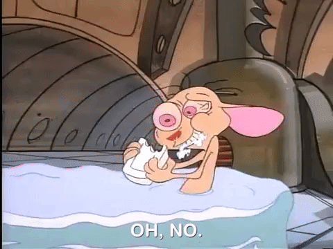 ren and stimpy nicksplat GIF