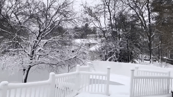 Winter Weather Transforms Massachusetts Yard Into 'Snow Globe'