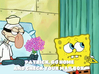 season 6 GIF by SpongeBob SquarePants