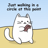Confusion Dragging GIF by MESA My Emotional Support Animal