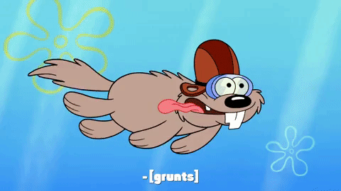 episode 1 GIF by SpongeBob SquarePants