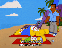 bart simpson episode 10 GIF