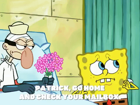 season 6 GIF by SpongeBob SquarePants