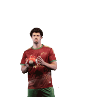 Andebolportugal Sticker by Federação de Andebol de Portugal
