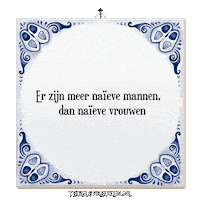 Wijsheid Spreuk Sticker by Tegelspreuken.nl