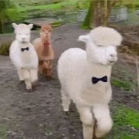 Mood Style GIF by JustViral