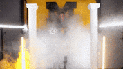 Tigers Missouri GIF by Mizzou Athletics