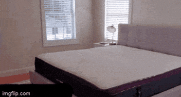 flyingremora jumping bed david mattress GIF