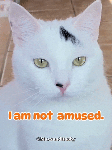 Mad White Cat GIF