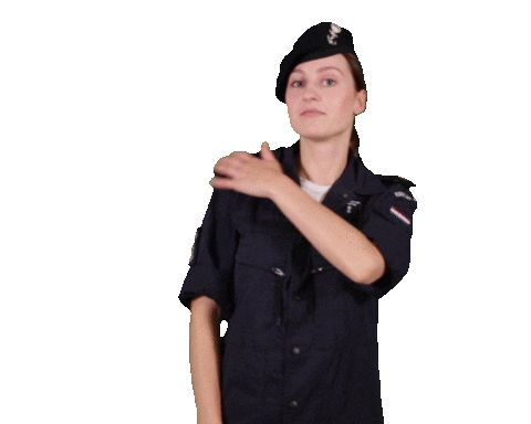 Swipe Army Sticker by Werken bij Defensie