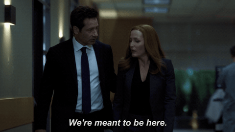 scully mulder GIF by The X-Files