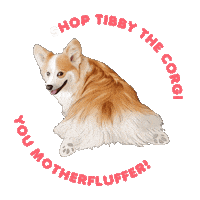 mother corgi Sticker by Central 23