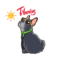 French Bulldog Dog Sticker