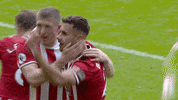 Premier League Soccer GIF by Sheffield United Football Club