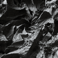 Black And White Art GIF by Pi-Slices