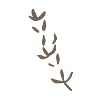 Flower 花 Sticker