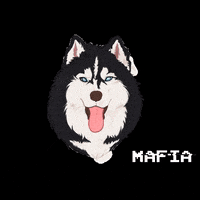 clariilustra mafia husky akira GIF