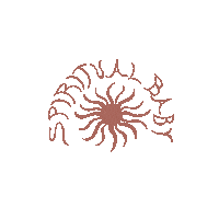 pixiepourtoi pixiepourtoi pixiepourtoisavage pixiepourtoiastro spiritualpixie Sticker