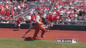 120 GIF by MLB