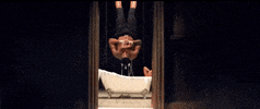 jason derulo GIF