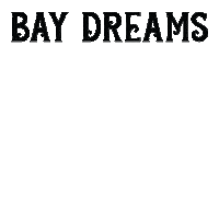 BayDreams festival nelson bd musicfestival Sticker
