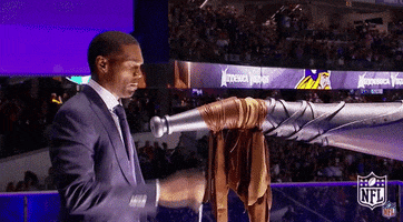Minnesota Vikings GIF by NFL