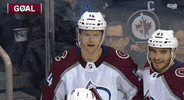 happy ice hockey GIF by Colorado Avalanche