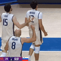 Volleyball Seriously GIF
