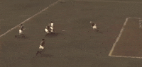 santos fc goal GIF by Santos Futebol Clube